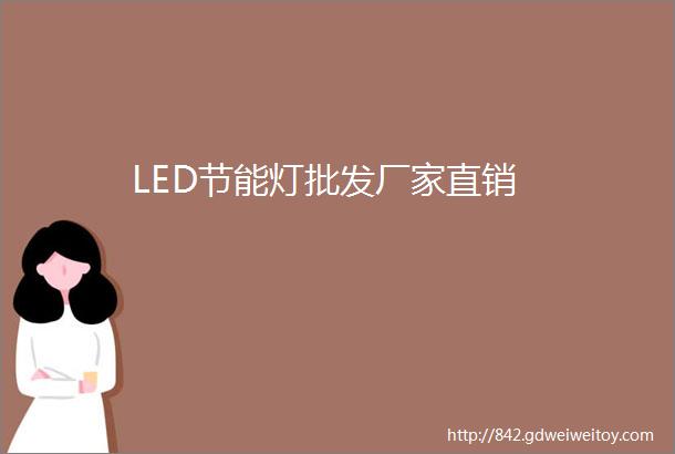 LED节能灯批发厂家直销